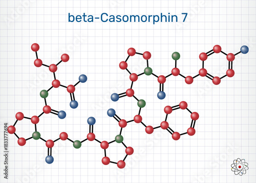 Beta-casomorphin-7, BCM7 opioid peptide molecule. Milk-derived casein peptide with potential physiological effects. Molecular model. Vector Illustration