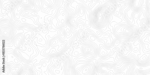 Abstract minimal pattern discovery vector topo map creative landscape design. White wave grid stripe line map topography. vector geographic contour mounted map background.	