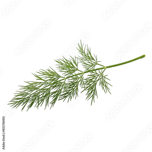Sprig of dill or delicate green herb
