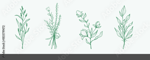 Leaves Scetch Design pack