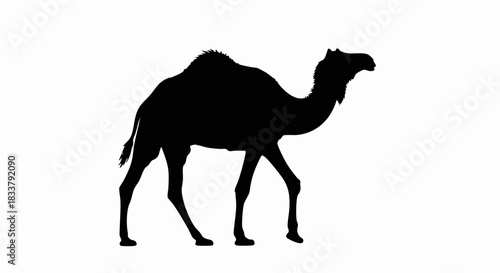 Striking black silhouette of a dromedary camel walking gracefully, showcasing its distinctive humped back and long legs against a clean white backdrop.