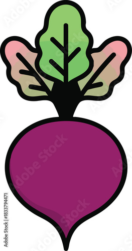 Purple beetroot with green-pink leaf