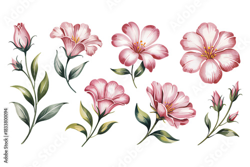 Soft Elegant Pink Floral Decorative Elements with Delicate Petal Details, Transparent Background