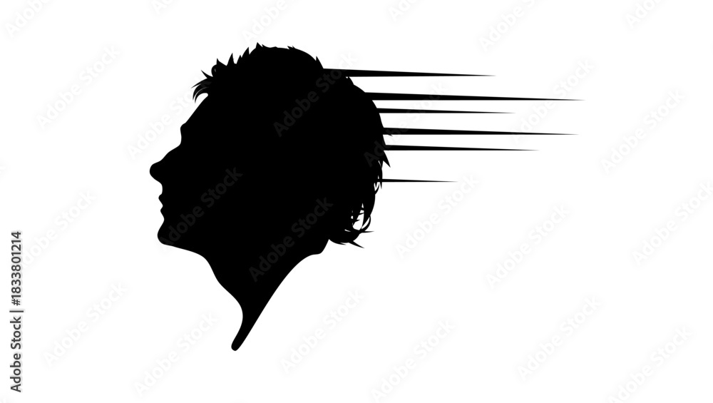 Obraz premium the shadow of an unknown driver, black isolated silhouette