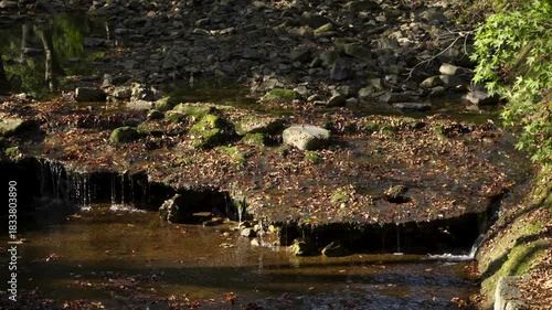 Peaceful nature scene featuring sunlight illuminating fallen leaves and green moss covering flat stones with a small trickle of water creating tiny natural waterfalls into shallow rocky stream