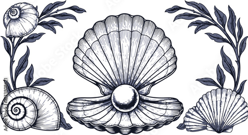 Vintage Seashell and Pearl Decorative Border nautilus