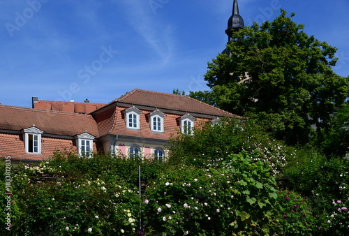 Historical Castle in the Town Dornburg at the River Saale, Thuringia