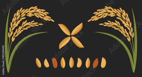 A comprehensive set of realistic rice illustrations, including stalks, various grains, and a floral pattern on a black background.