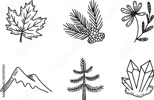 Hand-Drawn Nature Icons: Maple Leaf, Pine Cone, Flower, Mountain, Tree, Crystals