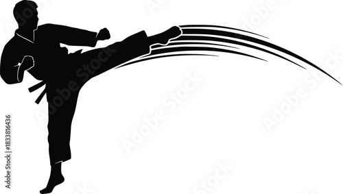 Martial arts practitioner silhouette performs powerful high kick move