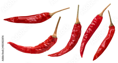 Obraz na plátně dried red chilies isolated, transparent PNG, PNG format, set