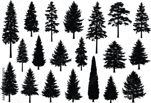 Collection of detailed evergreen tree silhouettes, pine and fir forest illustration set, black botanical conifer shapes for nature design, landscape elements clipart