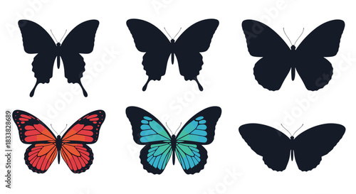 A set of six diverse butterfly illustrations, including colorful species and black silhouettes, highlighting unique wing shapes and forms.