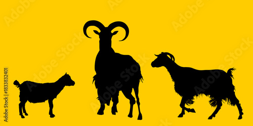 Goat family, couple and baby vector silhouette illustration isolated. Goat, goatling, Billy goat. Male, female domestic farm animal shape shadow. Organic food village symbol. Meat, cheese and milk.