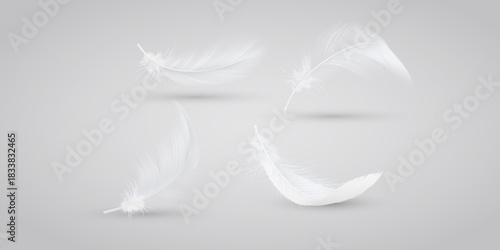 Collection of white feather illustrations floating on transparent background perfect for decorative design, softness, lightness, nature and artistic creative concepts