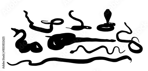 Set of snake vector silhouette vector illustration isolated. Curl snake python attack prey. Dangerous muscular reptile silent killer. Cold blood predator animal. Venom serpent shape. Deadly predator.