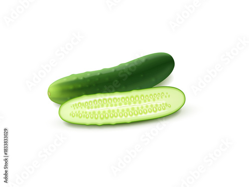 Fresh cucumber isolated on white background raw green vegetable illustration healthy salad ingredient organic natural food cooking snack diet design