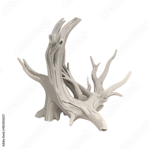 Isolated red deer antlers trophy decoration on a white background