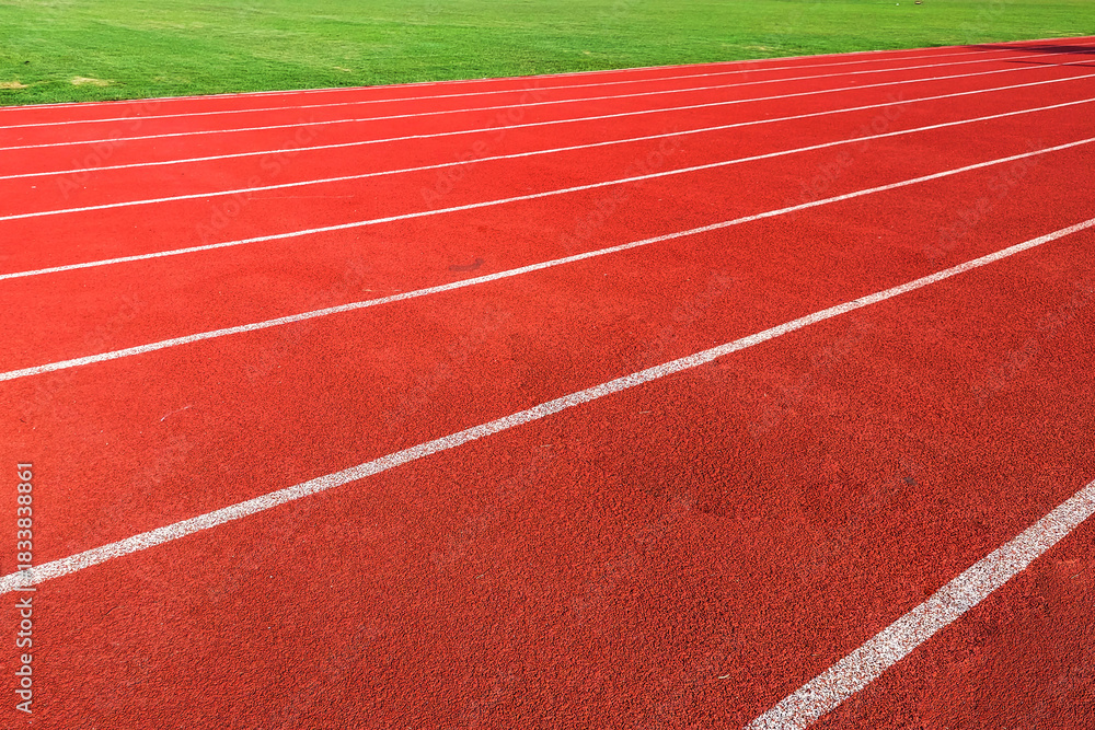 Fototapeta premium Running Track and Green Grass Texture