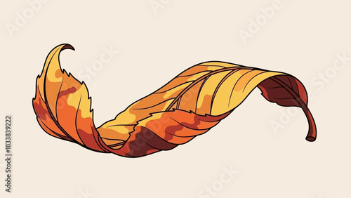 A single, detailed leaf, curled and showing autumnal colors, isolated on a plain background.
