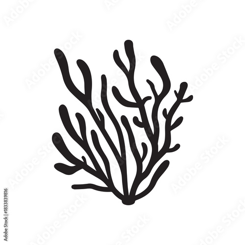 Coral wavy branches Black outline illustration resemble marine vegetation white background.