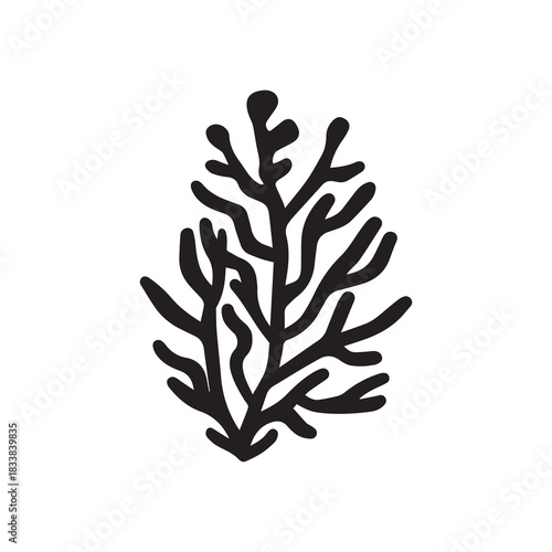Coral wavy branches Black outline illustration resemble marine vegetation white background.