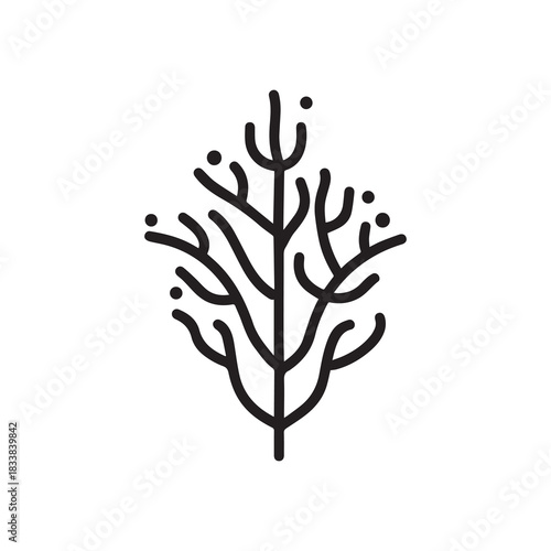 Coral wavy branches Black outline illustration resemble marine vegetation white background.