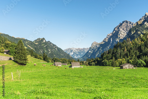 Scenic view of alpine meadow with grazing cows and traditional wooden huts, surrounded by the steep peaks of the Swiss Alps, Kloental, Canton of Glarus, Switzerland