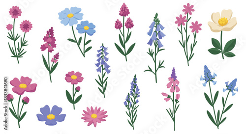 Colorful collection of flat wildflowers on white background