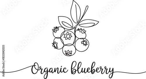 Blueberry vector illustration. One line drawing art illustration with lettering organic blueberry. Blueberries in continuous line art drawing style. one line Icon drawing