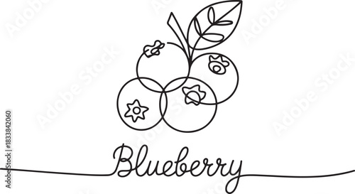 Blueberry vector illustration. One line drawing art illustration with lettering organic blueberry. Blueberries in continuous line art drawing style. one line Icon drawing