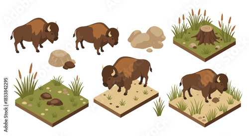 Isometric bison and prairie elements set: grazing bison and natural habitats