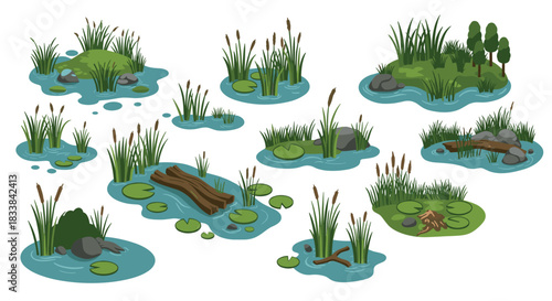 Scenic wetlands with diverse vegetation and wildlife elements in cartoon style