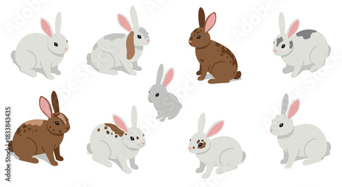 Charming bunnies: diverse rabbits in cute cartoon style