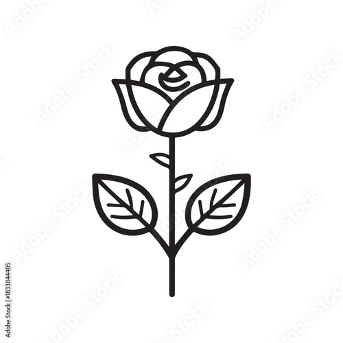 Rose flower black outline icon natural style green leaf celebration design.