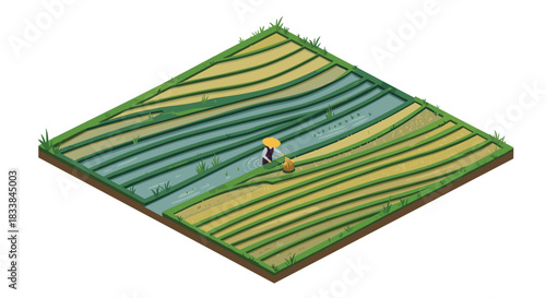 Isometric farmland with farmer in rice paddy field scenic view