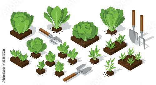 Isometric garden tools and vegetables on soil for urban farming and planting