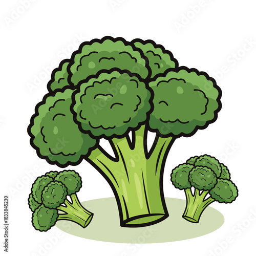 Fresh Green Broccoli Florets Illustration