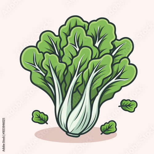 Fresh Green Bok Choy Vegetable Illustration