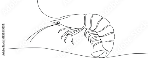 Black and white line drawing of a shrimp prawn seafood