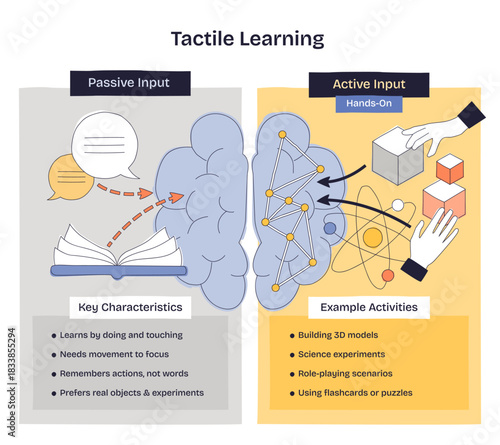 Tactile learning brief shows how hands-on input beats passive reading brain, hands, and blocks illustrate active engagement for memory and focus. Doodle style diagram