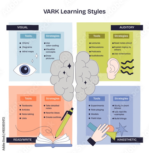 VARK learning styles overview illustrated with brain, eye, and ear, mapping visual, auditory, read-write, and kinesthetic study strategies for quick reference. Doodle style diagram