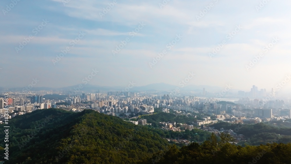 Obraz premium Aerial View of Seoul's Urban Landscape and Green Mountain
