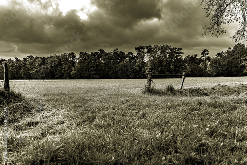 Ein Blick über Felder und durch Zweige mit Blättern im Herbst.