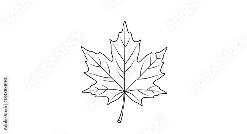A simple and clean black outline of a classic Canadian maple leaf isolated on a white background for various design uses.