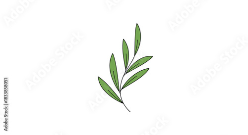 A very simple and elegant minimalist illustration of a single olive branch with green leaves isolated on a white background.