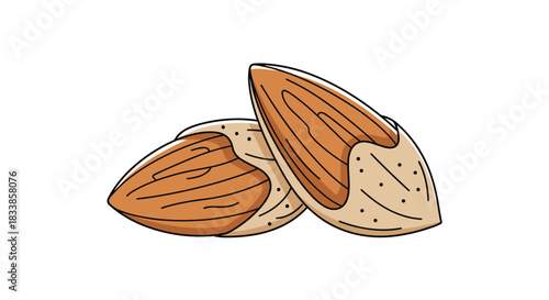 A simple and clean colored illustration of two healthy almond nuts isolated on a white background for food product packaging.