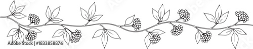 Black and white vine border with leaves and berry cluster