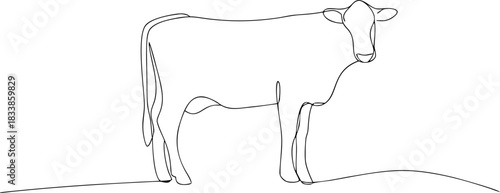 Single line drawing of a cow standing cattle livestock