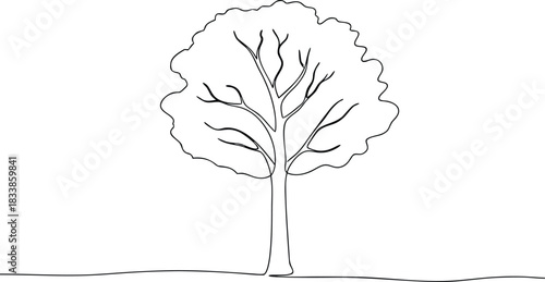 Single line drawing of a deciduous tree outline